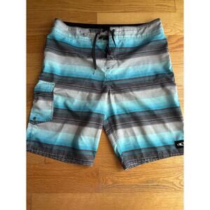 O’Neill Mens Board Shorts Striped Gray Teal with Pocket Size 34
